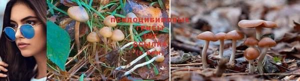 ALPHA PVP Няндома