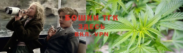 дживик Алексин