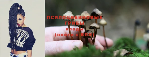 дживик Алексин