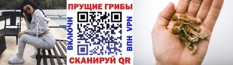 Галлюциногенные грибы ЛСД  MEGA ONION  Пикалёво 