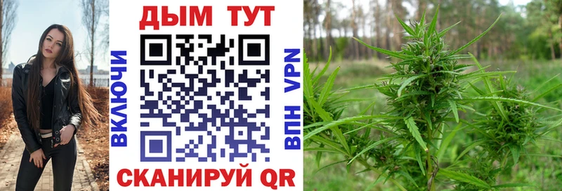 сколько стоит  Пикалёво  Шишки марихуана VHQ 
